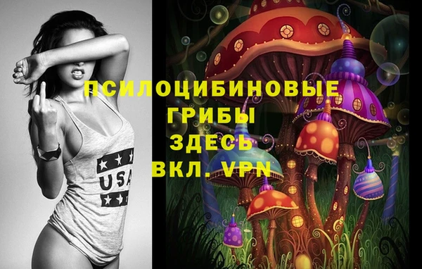 гидропоника Верея